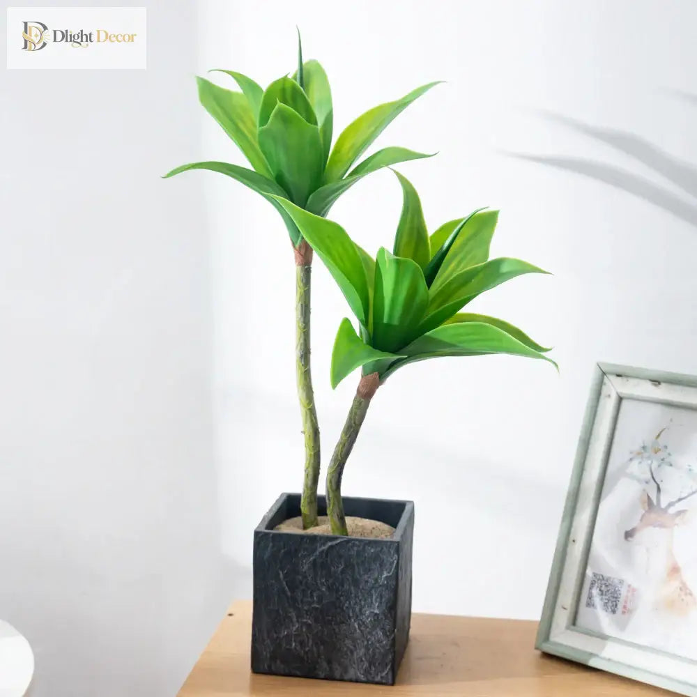 Dlight Decor Agave Succulent Plant for Home and Balcony Display