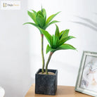Dlight Decor Agave Succulent Plant for Home and Balcony Display