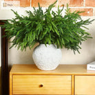 Dlight Decor Artificial Pine Branch 45 or 65cm Green Needles