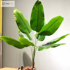 Dlight Decor Banana Palm Plant for Bold Tropical Decor