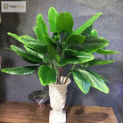 Dlight Decor Banana Palm Plant for Bold Tropical Decor
