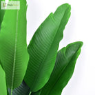 Dlight Decor Banana Palm Plant for Bold Tropical Decor