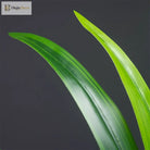 Dlight Decor Bracketplant Palm for Home and Garden Display