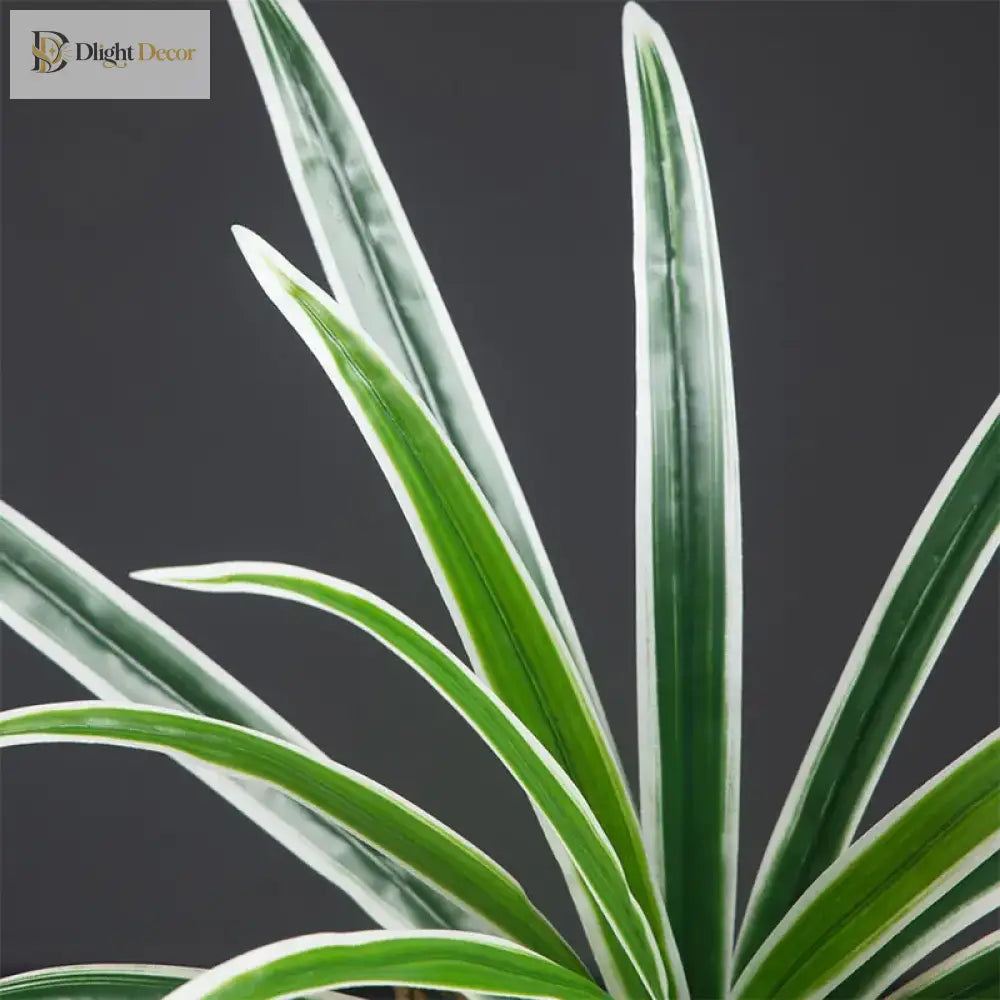 Dlight Decor Bracketplant Palm for Home and Garden Display