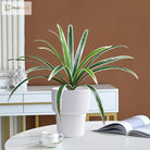 Dlight Decor Bracketplant Palm for Home and Garden Display