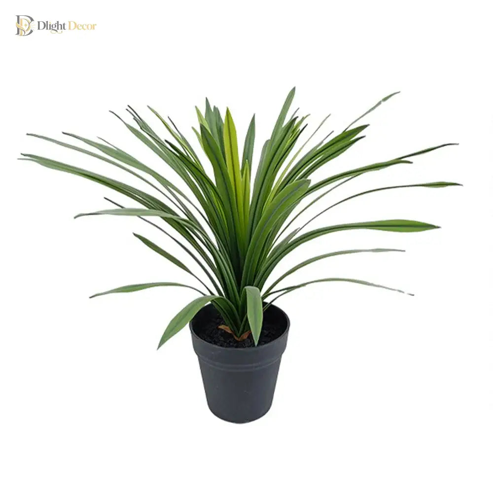 Dlight Decor Chlorophytum Grass Plant for Desktop and Indoor Styling