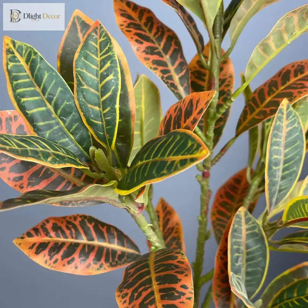 Dlight Decor Codiaeum Ficus Tree for Tropical Indoor Floor Decor