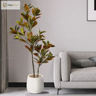 Dlight Decor Codiaeum Ficus Tree for Tropical Indoor Floor Decor