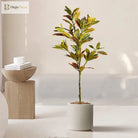 Dlight Decor Codiaeum Ficus Tree for Tropical Indoor Floor Decor