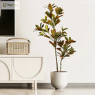 Dlight Decor Codiaeum Ficus Tree for Tropical Indoor Floor Decor