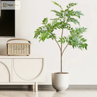 Dlight Decor Ficus Tree for Lush Indoor Outdoor Styling