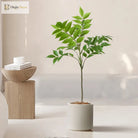 Dlight Decor Ficus Tree for Lush Indoor Outdoor Styling