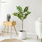 Dlight Decor Ficus Tree for Lush Indoor Outdoor Styling