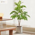 Dlight Decor Ficus Tree for Lush Indoor Outdoor Styling