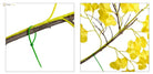 Dlight Decor Ginkgo Branches for Elegant Floral Styling