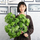 Dlight Decor Ginkgo Branches for Elegant Floral Styling