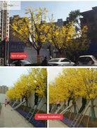 Dlight Decor Ginkgo Branches for Elegant Floral Styling
