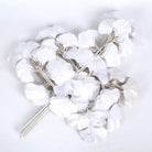 Dlight Decor Ginkgo Branches for Elegant Floral Styling White