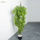Dlight Decor Hanging Vines for Elegant Wall Display