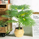 Dlight Decor Large Palm Tree 55 to 95cm Tropical Plant