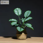 Dlight Decor Monstera Palm Branch for Tropical Home Styling A