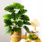 Dlight Decor Monstera Palm Plant for Home and Outdoor Styling A