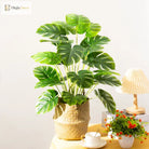 Dlight Decor Monstera Palm Plant for Home and Outdoor Styling A