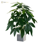 Dlight Decor Monstera Tree for Lush Indoor Outdoor Vibe