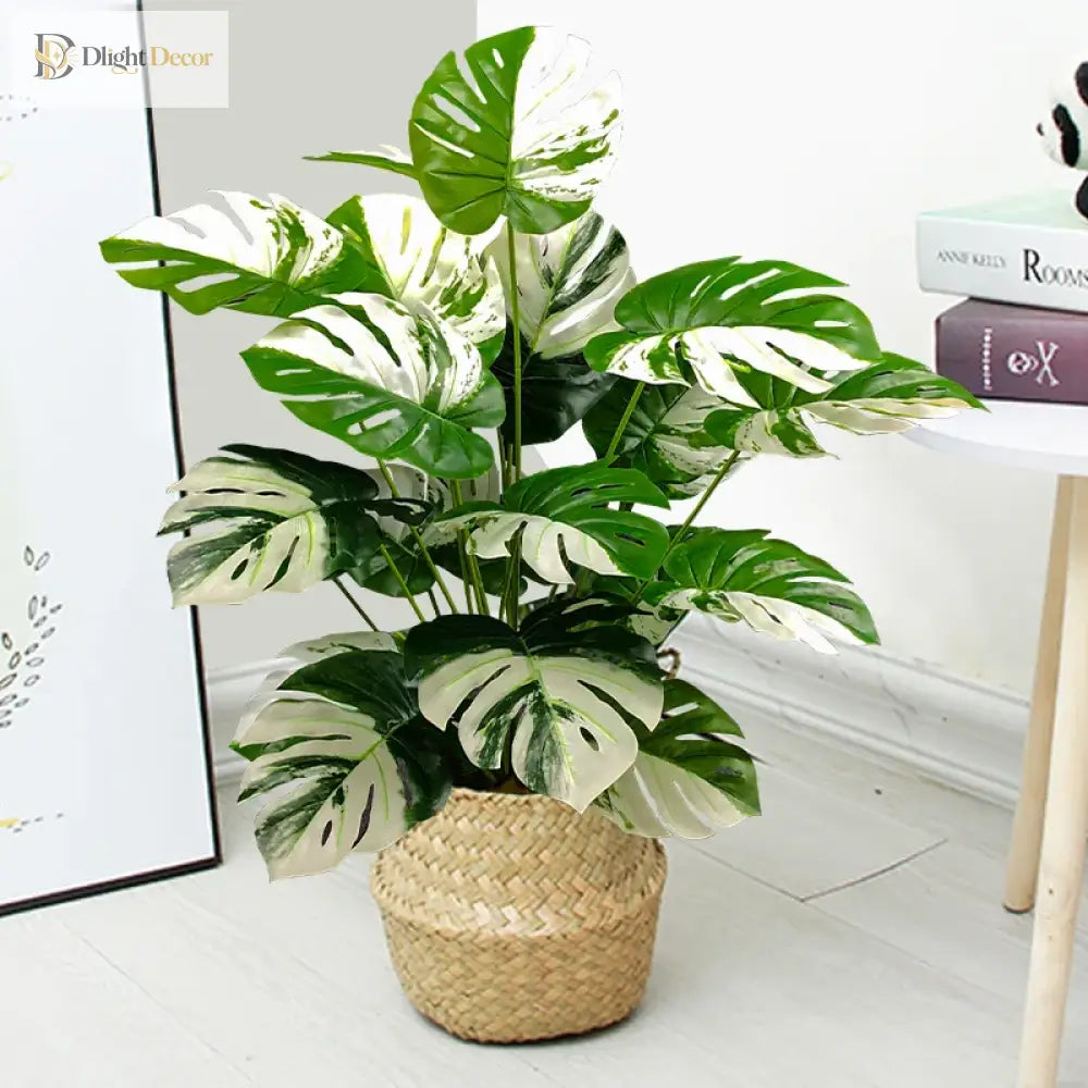 Dlight Decor Monstera Turtle Leaf Plant for Indoor and Garden Display