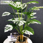 Dlight Decor Monstera Turtle Leaf Plant for Indoor and Garden Display