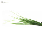 Dlight Decor Onion Grass Bunch for Natural Green Wall and Home Decor