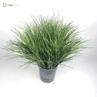 Dlight Decor Onion Grass Bunch for Natural Green Wall and Home Decor