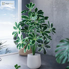 Dlight Decor Palm Plant for Natural Indoor Outdoor Charm