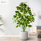 Dlight Decor Palm Plant for Natural Indoor Outdoor Charm