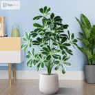 Dlight Decor Palm Plant for Natural Indoor Outdoor Charm