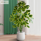 Dlight Decor Palm Plant for Natural Indoor Outdoor Charm