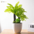Dlight Decor Potted Palm Plant 33cm or 40cm with Succulents