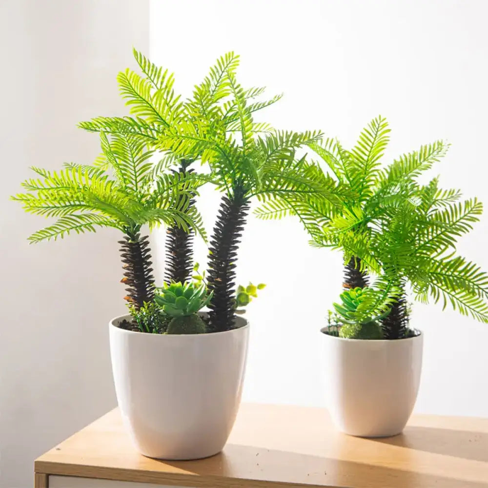 Dlight Decor Potted Palm Plant 33cm or 40cm with Succulents