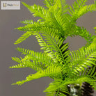 Dlight Decor Potted Palm Plant 33cm or 40cm with Succulents