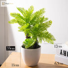 Dlight Decor Potted Palm Plant 33cm or 40cm with Succulents