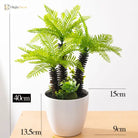 Dlight Decor Potted Palm Plant 33cm or 40cm with Succulents