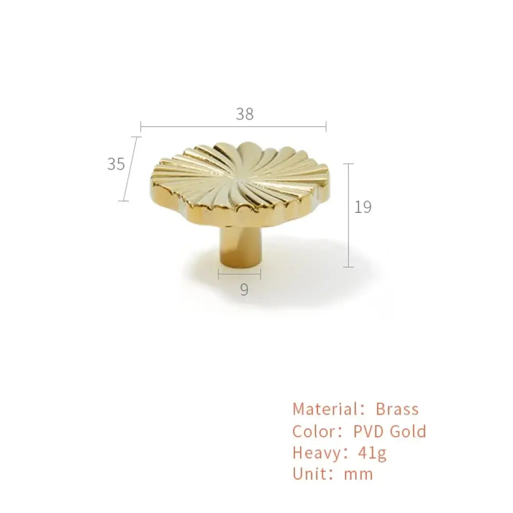 PVD gold ruffled cabinet handle with fan ridges, shown with size measurements.