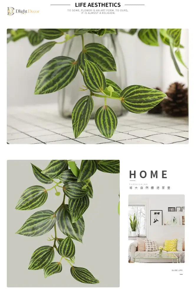 Dlight Decor Scindapsus Vine for Wall Hanging and Garden Styling