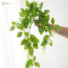 Dlight Decor Scindapsus Vine for Wall Hanging and Garden Styling