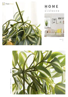 Dlight Decor Scindapsus Vine for Wall Hanging and Garden Styling