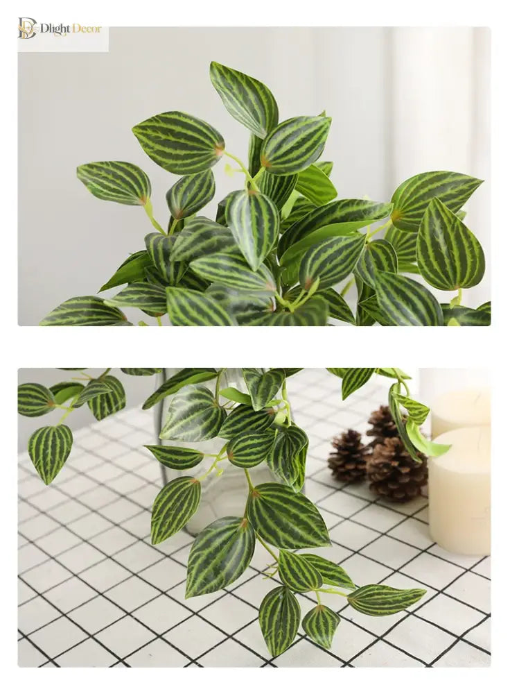 Dlight Decor Scindapsus Vine for Wall Hanging and Garden Styling
