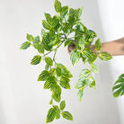 Dlight Decor Scindapsus Vine for Wall Hanging and Garden Styling 45cm D