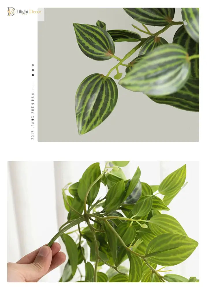 Dlight Decor Scindapsus Vine for Wall Hanging and Garden Styling