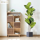 Dlight Decor Tall Ficus Tree for Indoor Outdoor Greenery