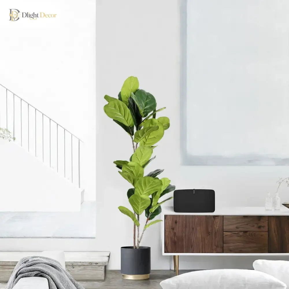 Dlight Decor Tall Ficus Tree for Indoor Outdoor Greenery